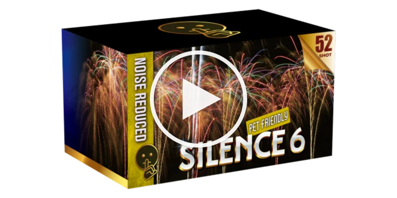 First Class Silence 6
